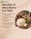 VLArc Shea Butter Body Butter