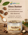 VLArc Shea Butter Body Butter